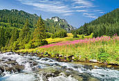 Potok Kościeliski - Tatry Polskie
