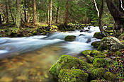 Potok Bystra w Dolinie Bystrej  - Tatry Polskie