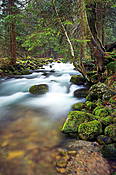 Potok Bystra w Dolinie Bystrej  - Tatry Polskie