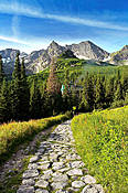 W drodze do Hali Gąsienicowej - Tatry Polskie