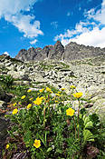 Pusta Dolinka w drodze na Kozią Przełęcz - Tatry Polskie