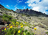 Pusta Dolinka w drodze na Kozią Przełęcz - Tatry Polskie