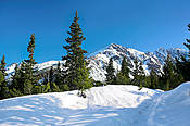 Żółta Turnia - widok z drogi nad Czarny Staw Gąsienicowy - Tatry Polskie