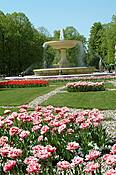 Warszawa - fontanna w Ogrodzie Saskim