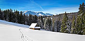 Widok z Podhala na Tatry