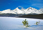 Panorama Tatr z okolic Smokowca - Tatry Słowackie