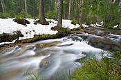 Potok Chochołowski  - Tatry Polskie
