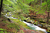 Potok Podgórna - Karkonosze