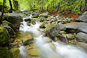 Potok Podgórna - Karkonosze