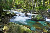 Potok Roztoka - Tatry Polskie