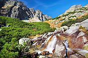 Potok w Dolinie Mięguszowieckiej  - Tatry Słowackie