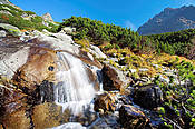 Potok w Dolinie Mięguszowieckiej  - Tatry Słowackie