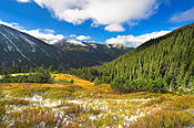 Dolina Jarząbcza  - Tatry Polskie