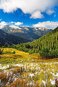 Dolina Jarząbcza  - Tatry Polskie