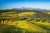 Widok na Tatry z okolic Niedzicy  - Pieniny