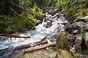 Potok Rohacki - Tatry Słowackie