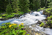 Potok Rohacki - Tatry Słowackie