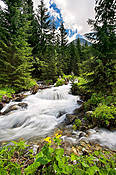 Potok Rohacki - Tatry Słowackie