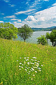 Okolice Zalewu Solińskiego - Bieszczady