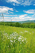 Okolice Zalewu Solińskiego - Bieszczady
