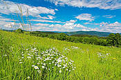 Okolice Zalewu Solińskiego - Bieszczady