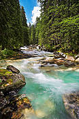 Potok w Dolinie Zimnej Wody - Tatry Słowackie