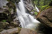 Potok w Dolinie Zimnej Wody - Tatry Słowackie