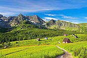 Hala Gąsienicowa - Tatry Polskie