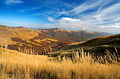 W drodze na Tarnicę -  Bieszczady