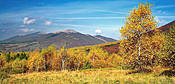 Połonina Wetlińska - Bieszczady