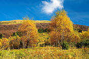 Połonina Caryńska - Bieszczady