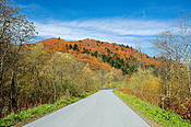 Okolice Cisnej - Bieszczady