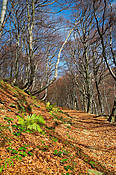 W drodze na Tarnicę - Bieszczady