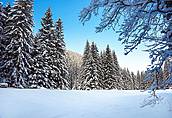 Dolina Kościeliska  - Tatry Polskie