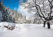 Dolina Kościeliska  - Tatry Polskie