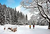 Dolina Kościeliska  - Tatry Polskie