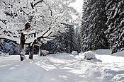 Dolina Kościeliska  - Tatry Polskie