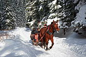 Dolina Kościeliska  - Tatry Polskie