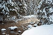 Potok Kościeliski w Dolinie Kościeliskiej  - Tatry Polskie