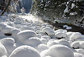Potok Kościeliski w Dolinie Kościeliskiej  - Tatry Polskie