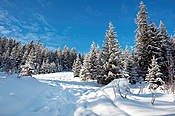 W drodze na Polanę Stoły - Tatry Polskie