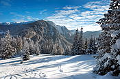 W drodze na Polanę Stoły - Tatry Polskie