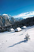 Szałasy na Polanie Stoły - Tatry Polskie