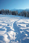 W drodze na Przysłup Miętusi - Tatry Polskie