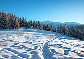 W drodze na Przysłup Miętusi - Tatry Polskie