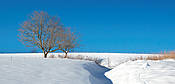 Bieszczady