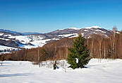 Połonina Caryńska - Bieszczady