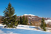 Połonina Caryńska - Bieszczady