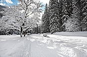 Dolina Kościeliska  - Tatry Polskie