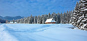 Dolina Chochołowskia  - Tatry Polskie